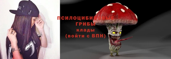 a pvp Богданович