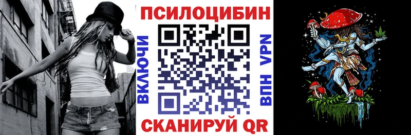 закладка Дудинка Галлюциногенные грибы мухоморы